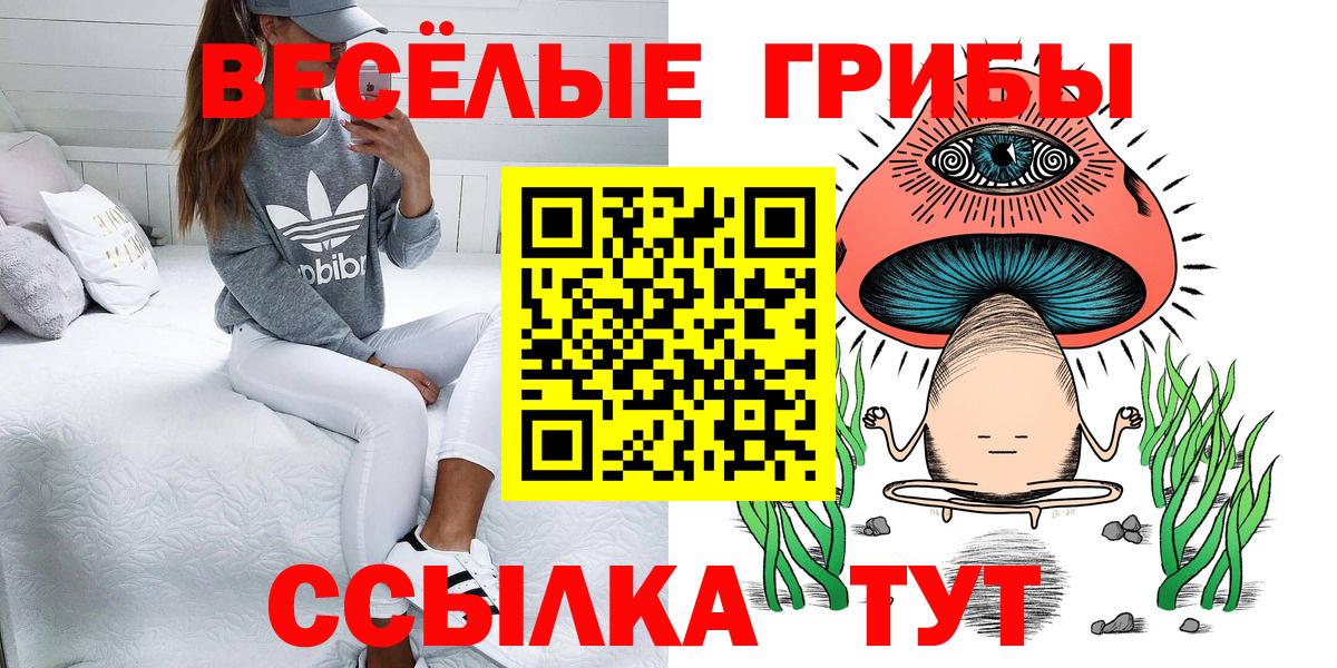 Псилоцибиновые грибы ЛСД  Вход с VPN  Татарск 
