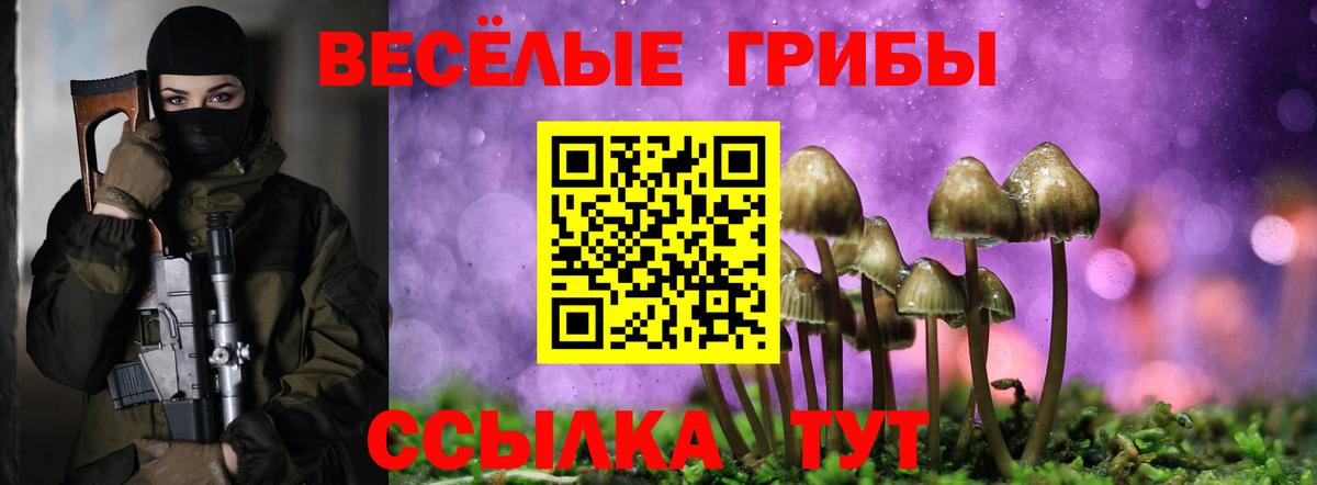 Псилоцибиновые грибы мицелий Татарск